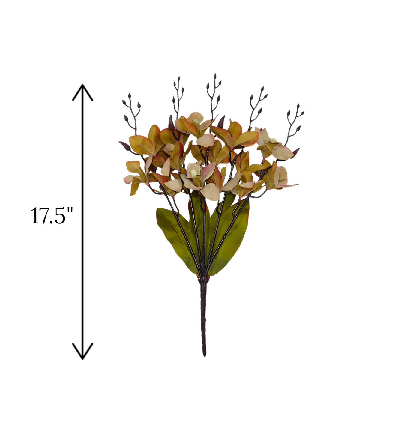2tone flower bunch cymbidium china 17.5" - Image 2