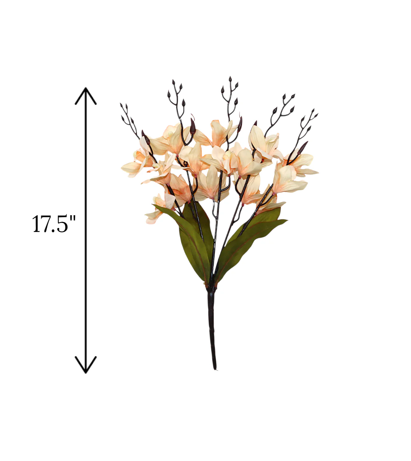 2tone flower bunch cymbidium china 17.5" - Image 2