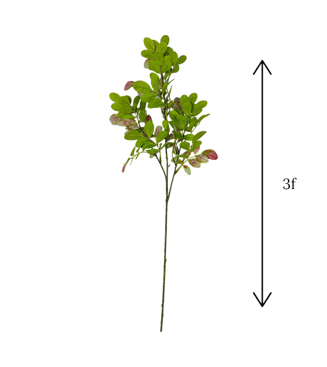 2tone leaf branch 36" china - Image 2