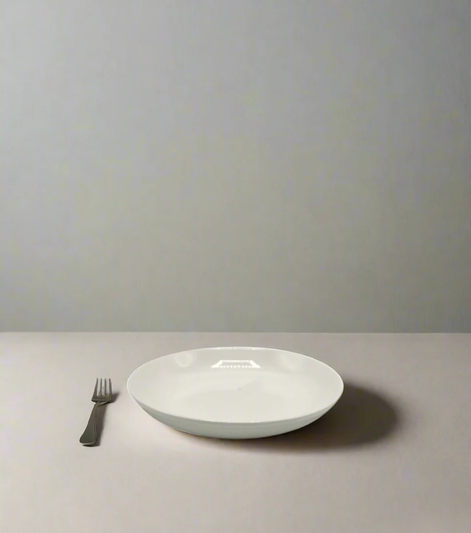 white ceramic plate 9"d china