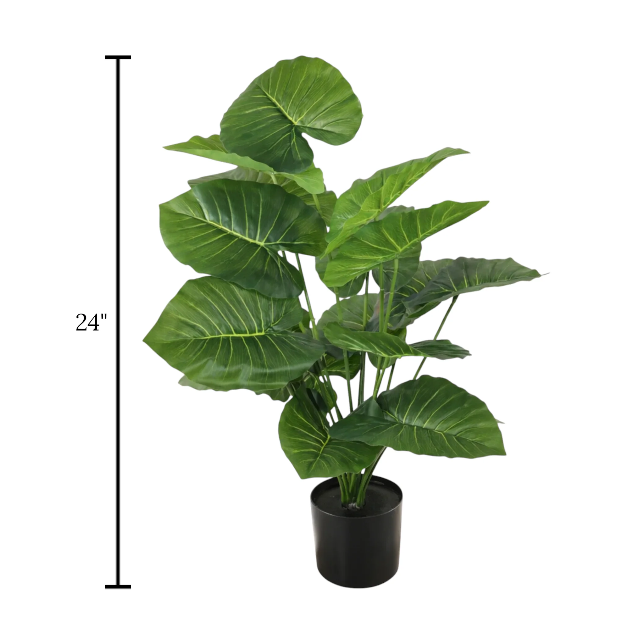 alocasia plant with plastic pot 18 leaves china 24" - Image 2