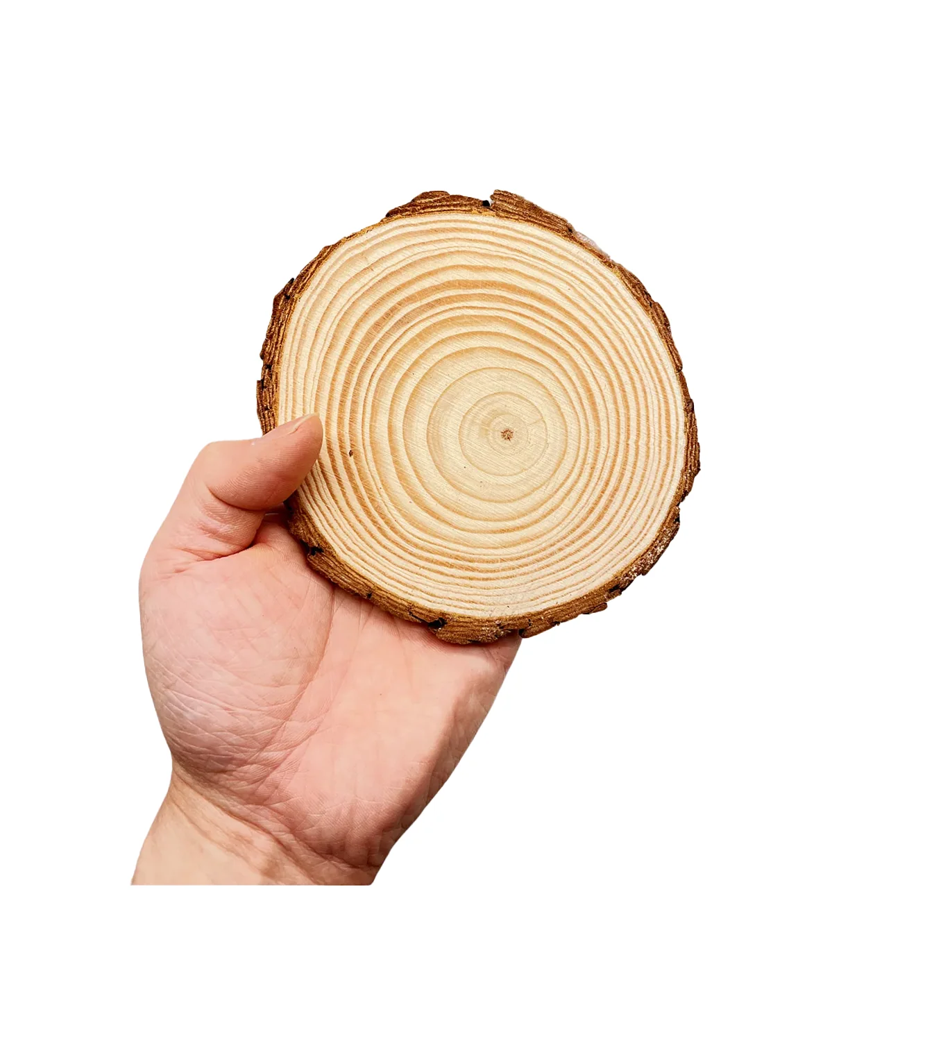 art and craft wooden biscuit round 6 inch