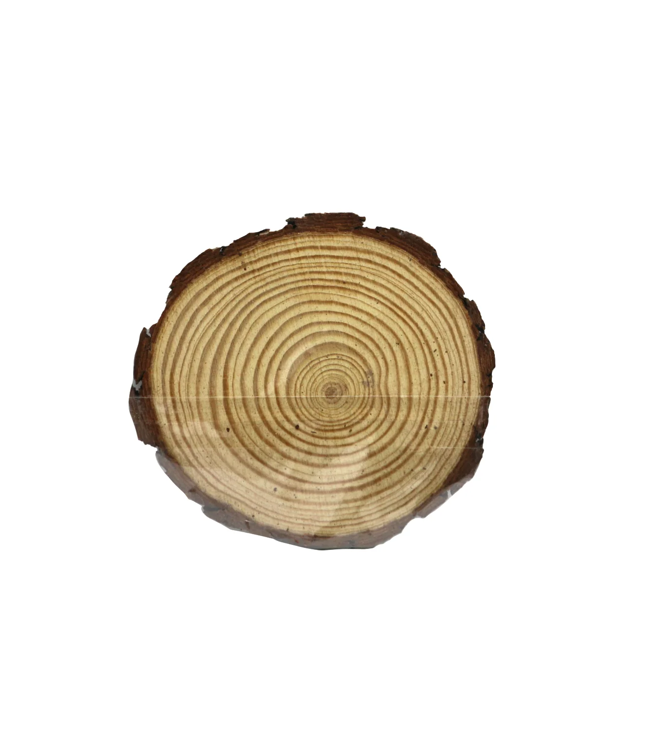 art and craft wooden biscuit round 6 inch - Image 2