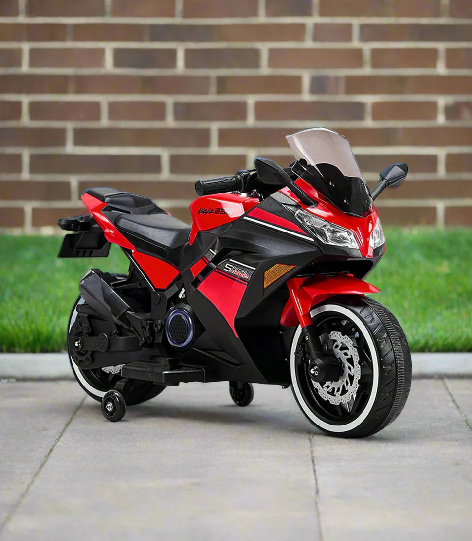 battery bike with music & lights dls07
