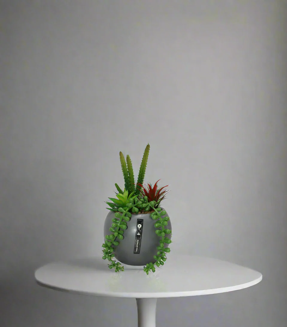 ceramic flower pot cactus china