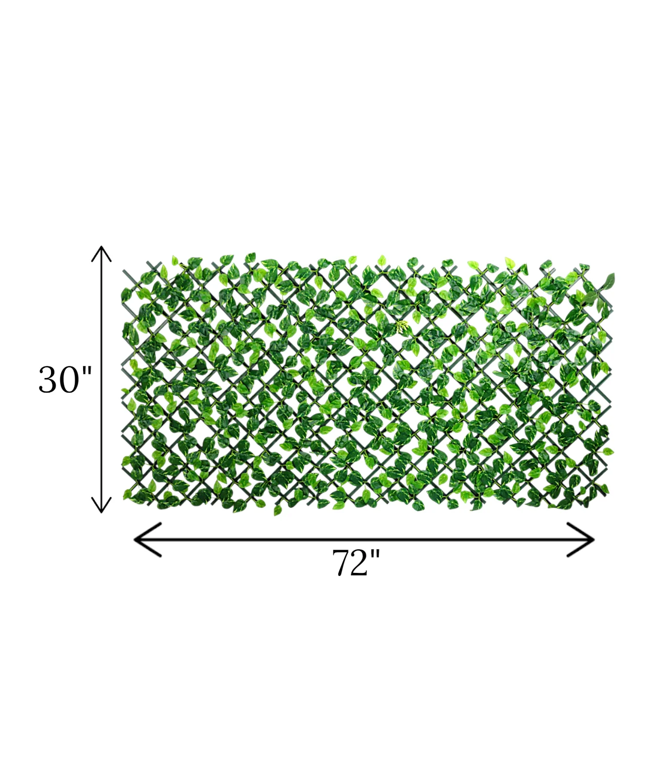 deewari folding green leaf large china - Image 2