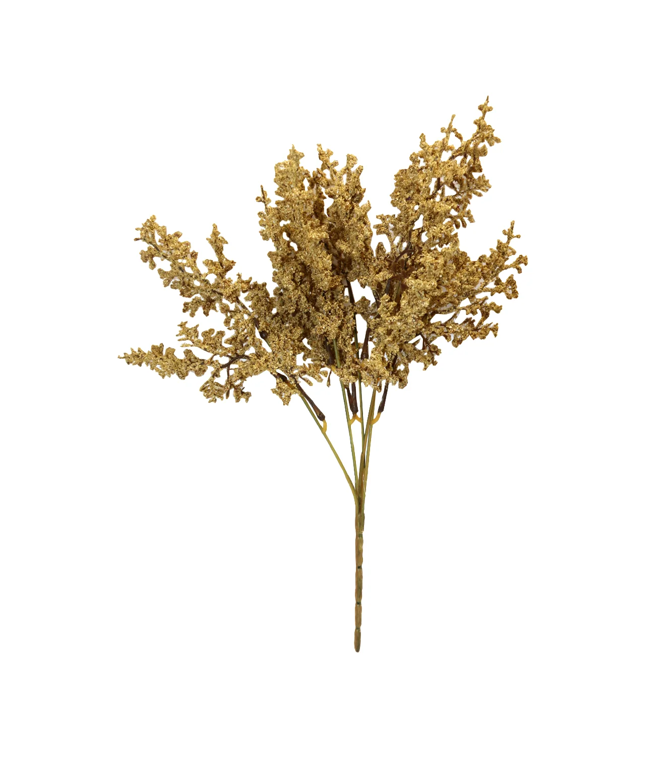 dry bunch golden china - Image 2