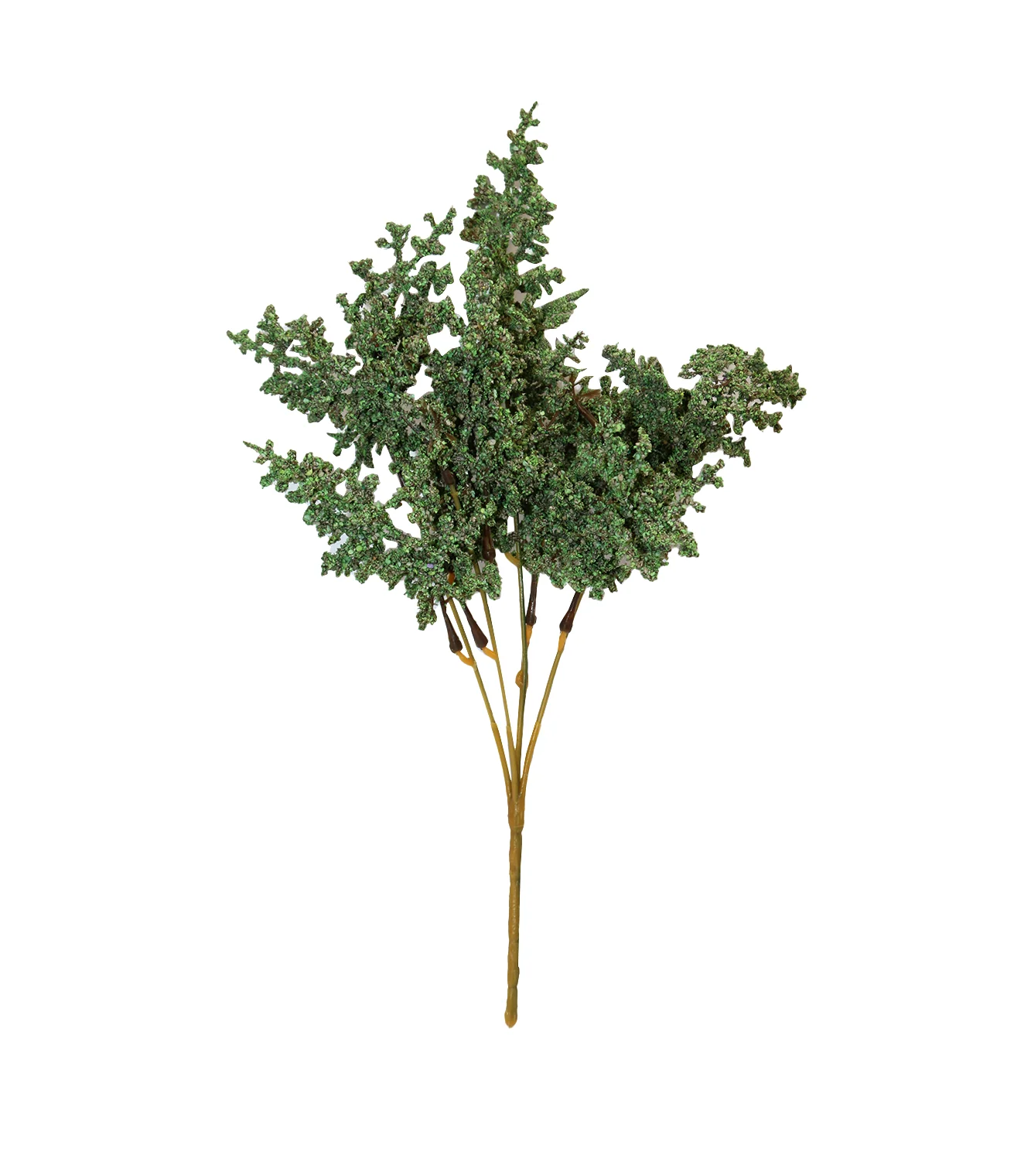 dry bunch green china - Image 2
