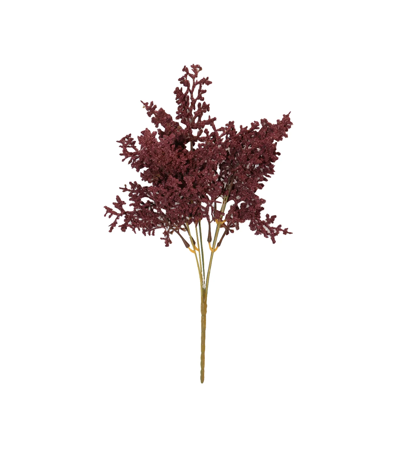 dry bunch maroon china - Image 2