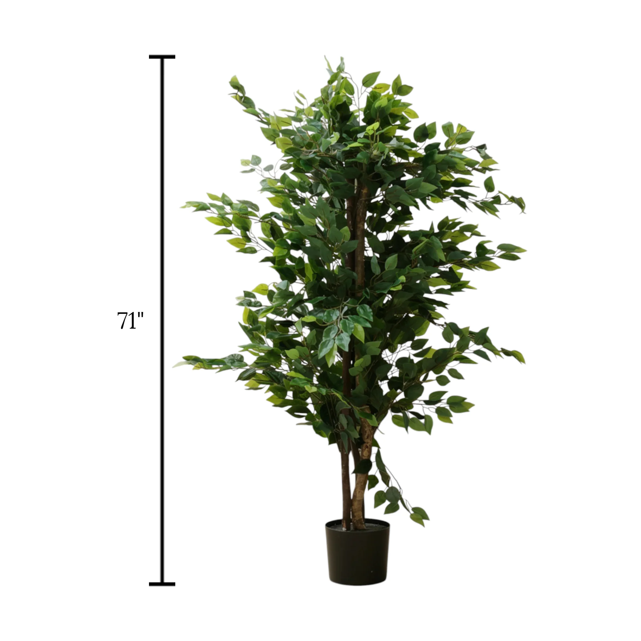 ficus tree with plastic pot china 71" - Image 2