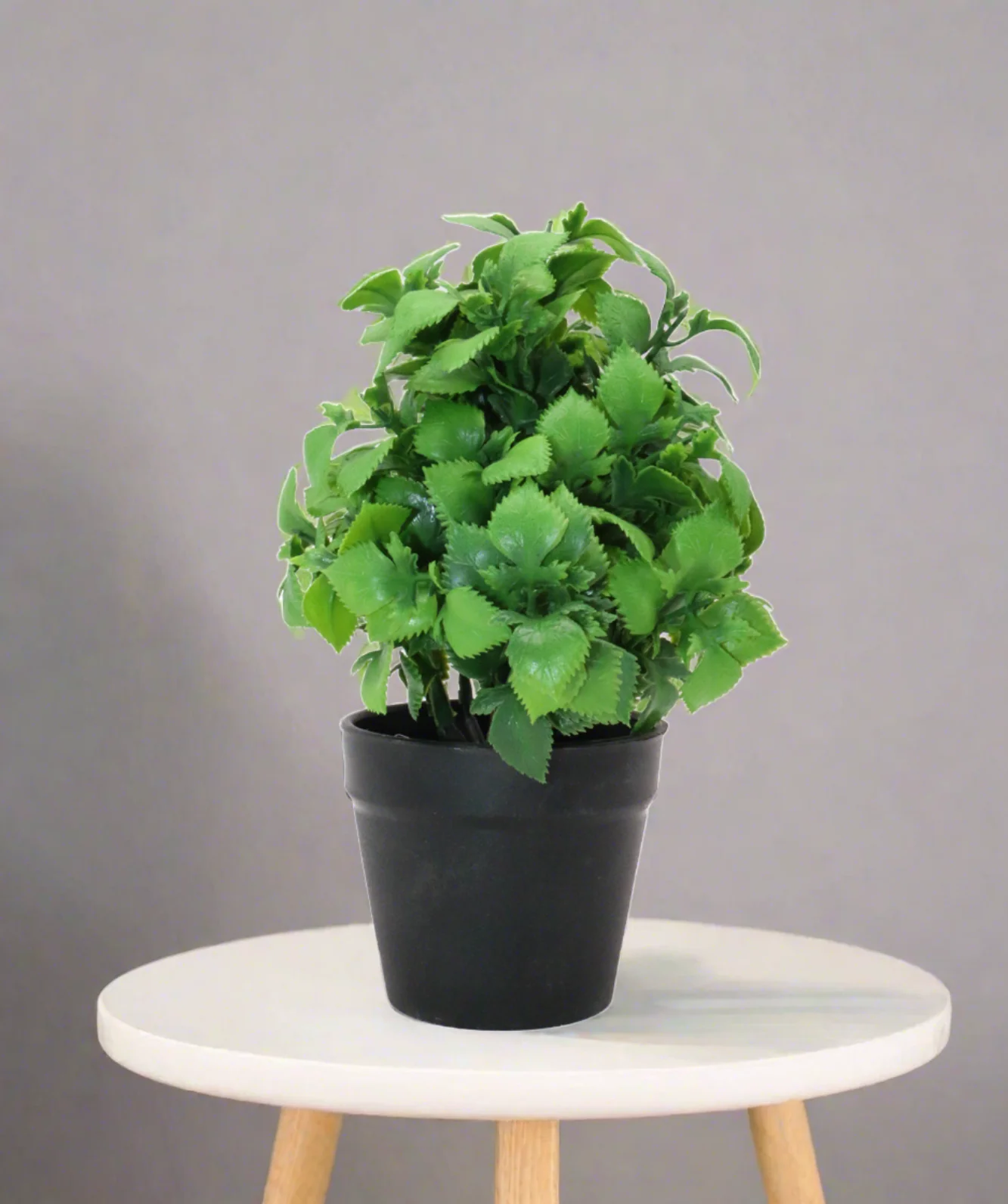 green leaf & plastic pot 2.5"hx 7.5"wchina d283