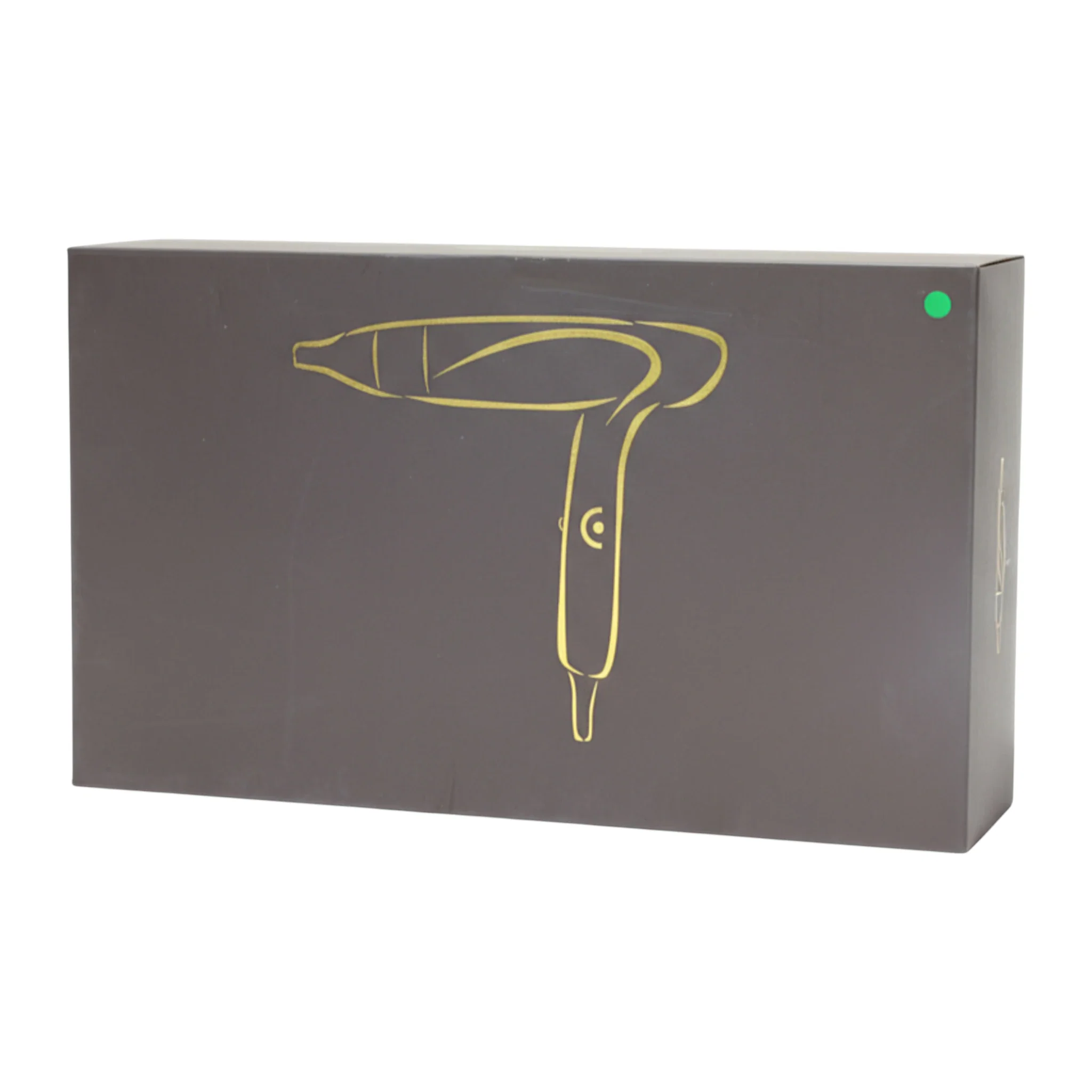 iconic hair dryer 8300 china - Image 2