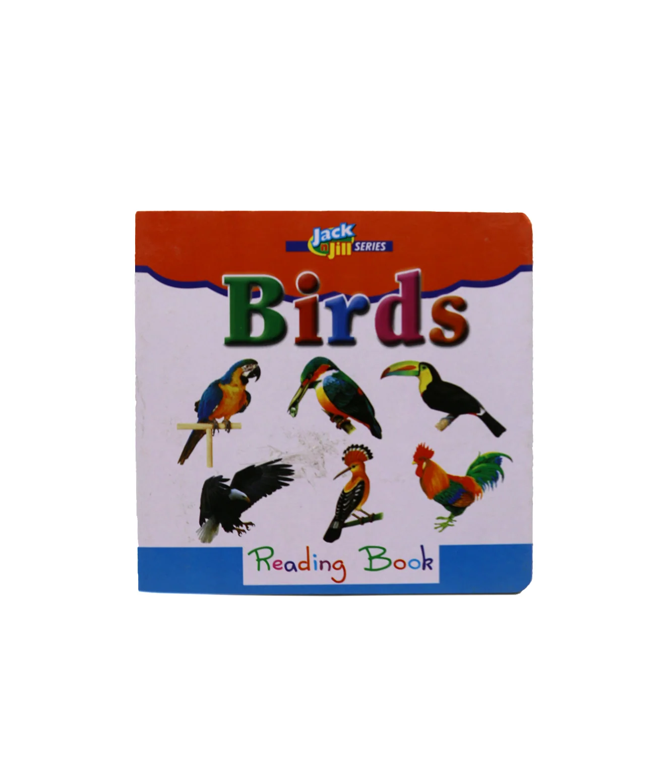 jack n jill reading book birds for kids - Image 2
