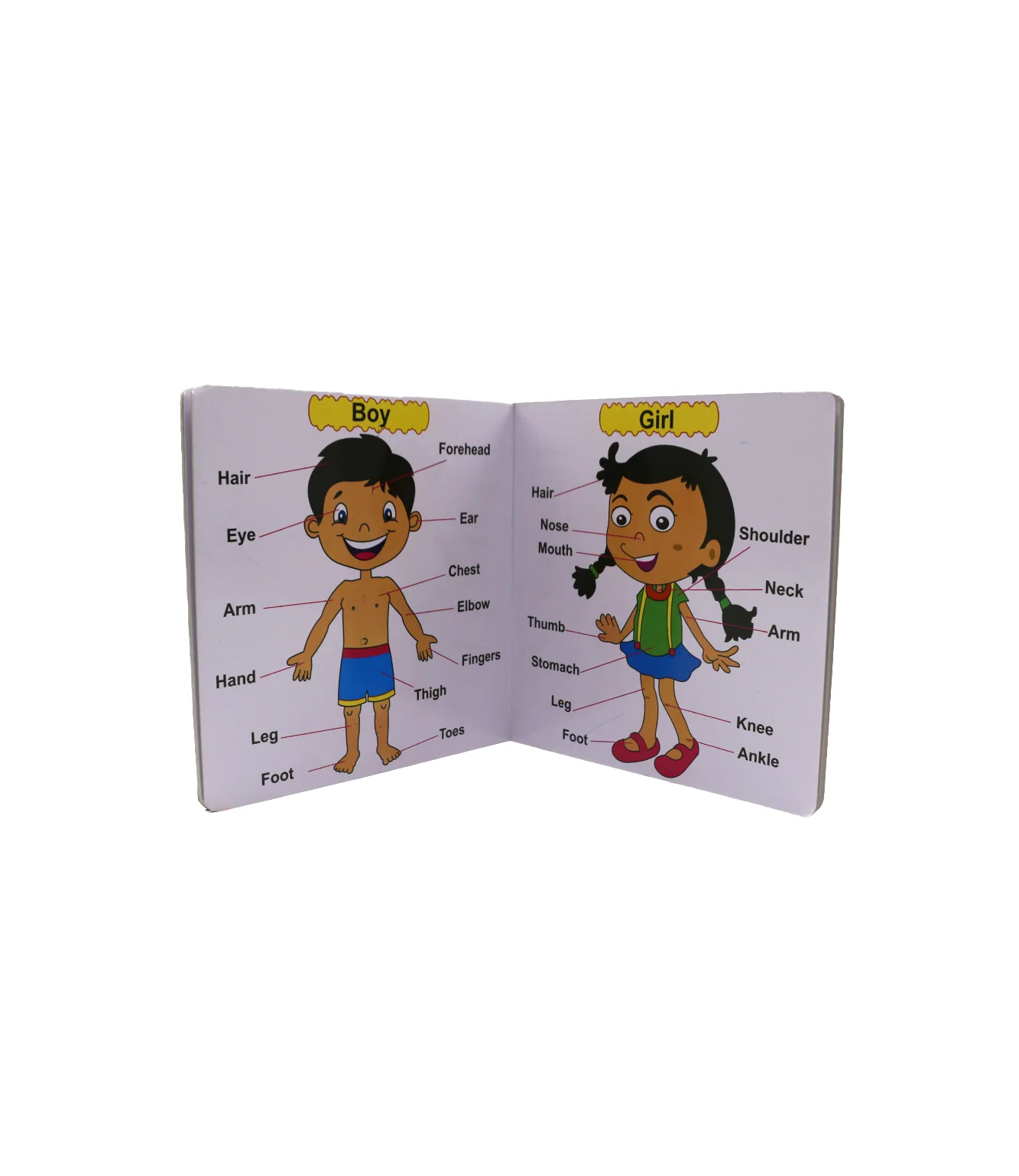 jack n jill reading book body parts & vehicles
