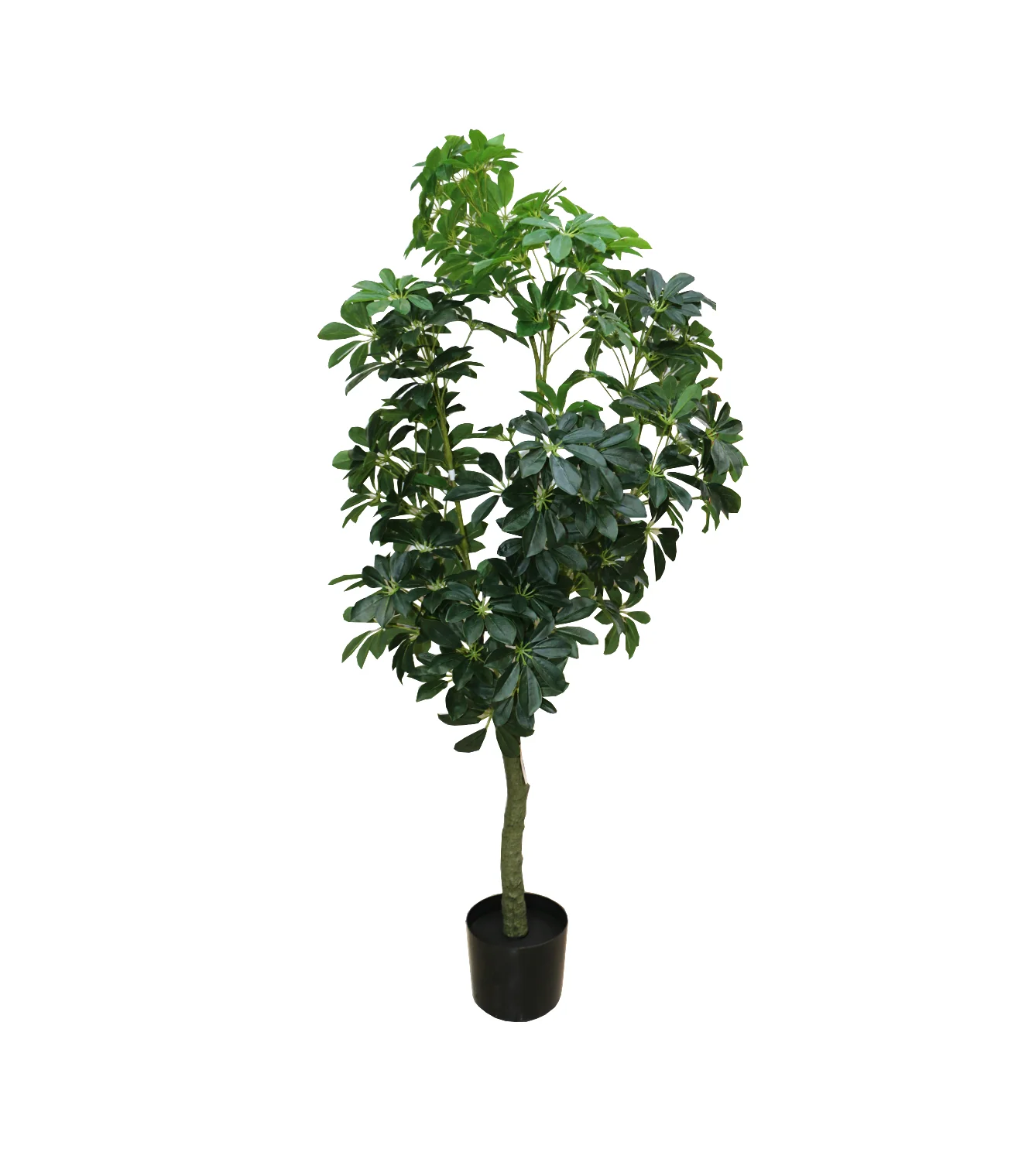 leaf tree with pot china 1694 - Image 2