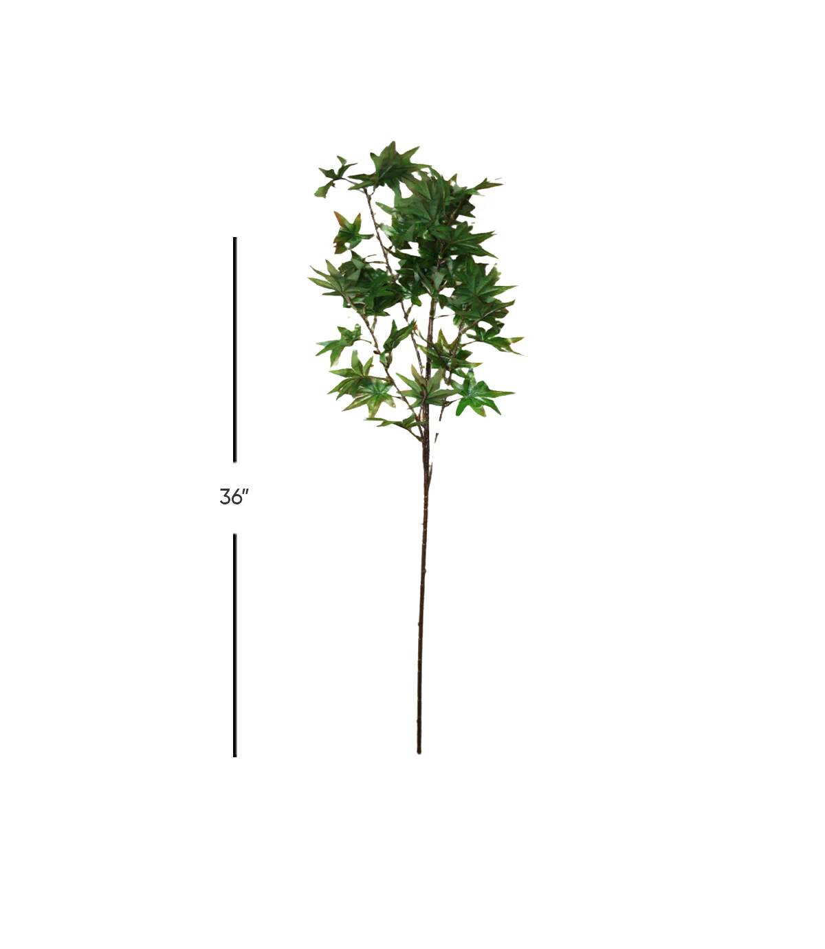 maple leaf branch green 36" china 876-52 - Image 2