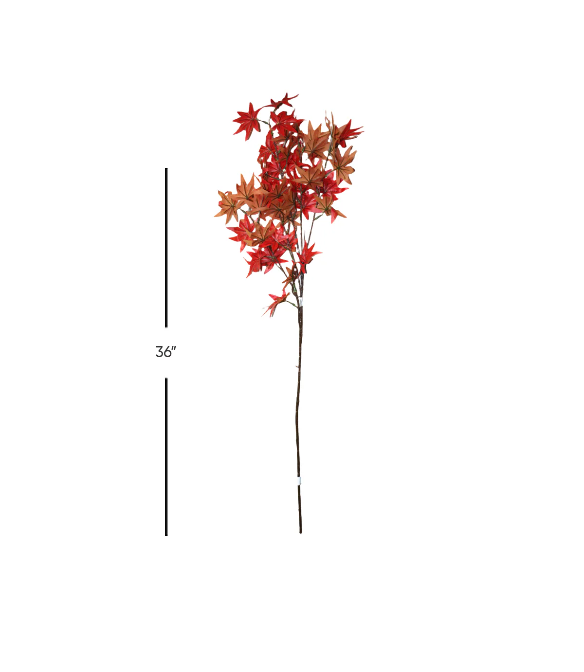 maple leaf branch red 36" china 876-52 - Image 2