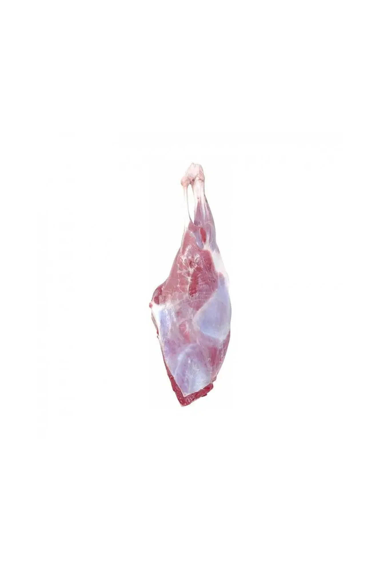 Mutton /PUTTH/RAAN/DASTI/CHOP - Image 4