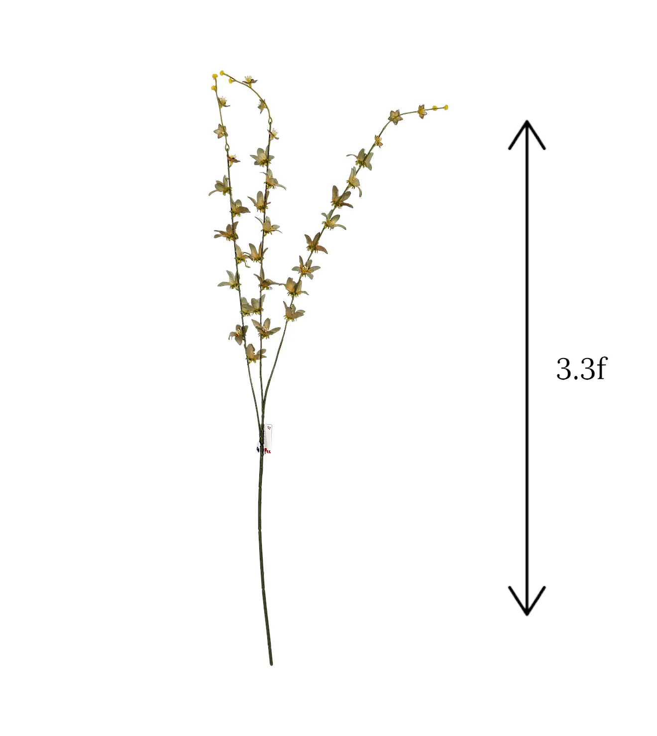 olive flower star branch 40" china - Image 2