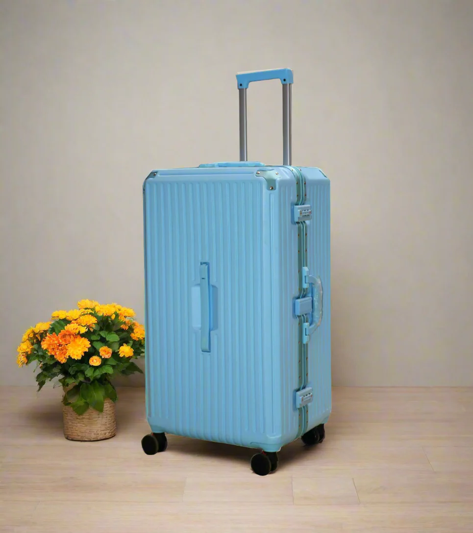 suitcase 3 handles, usb & glass holder 29.5" china