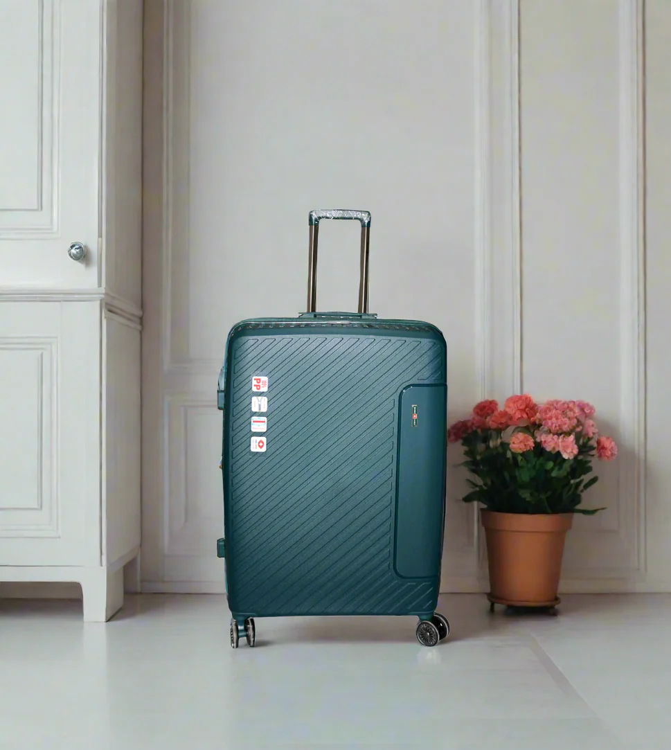 wangbo luggage trolley travel bag 2 handle 20" china d811